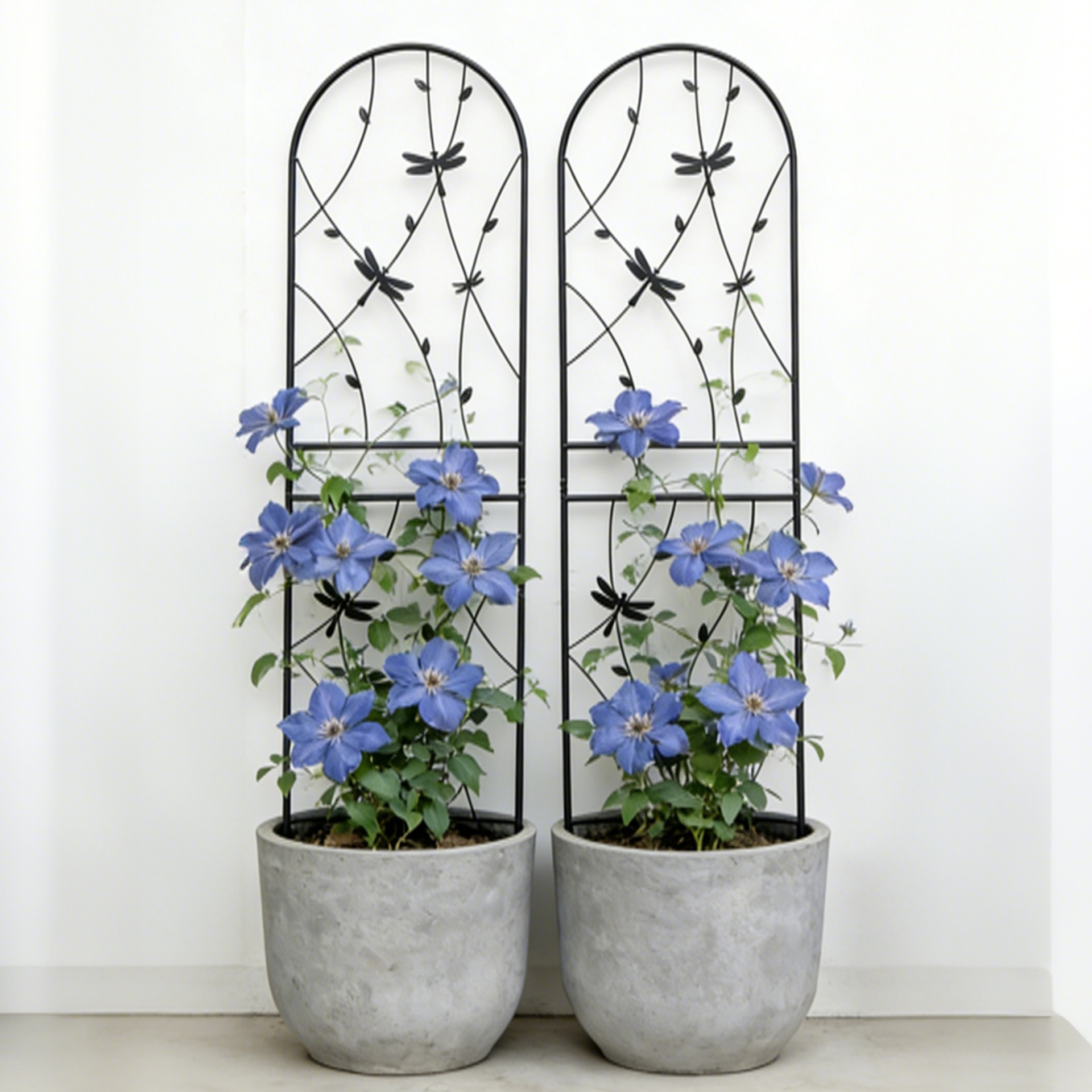 2 Pack Metal Garden Trellis 71" x 19.7" Rustproof Trellis for Climbing Plants Outdoor Flower Support Dragonfly Deco Black