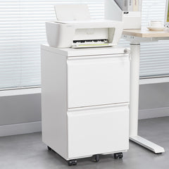 [requires assembly] Office Storage Cabinet, 2 Drawers File Cabinet With Lock Metal Vertical File Cabient With Wheels Mobile File Cabinet For Office Home Legal/Letter/a4 Size
