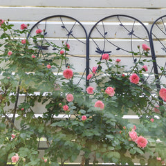 2 Pack Metal Garden Trellis 86.7" x 19.7" Rustproof Trellis for Climbing Plants Outdoor Flower Support Dragonfly Deco Black