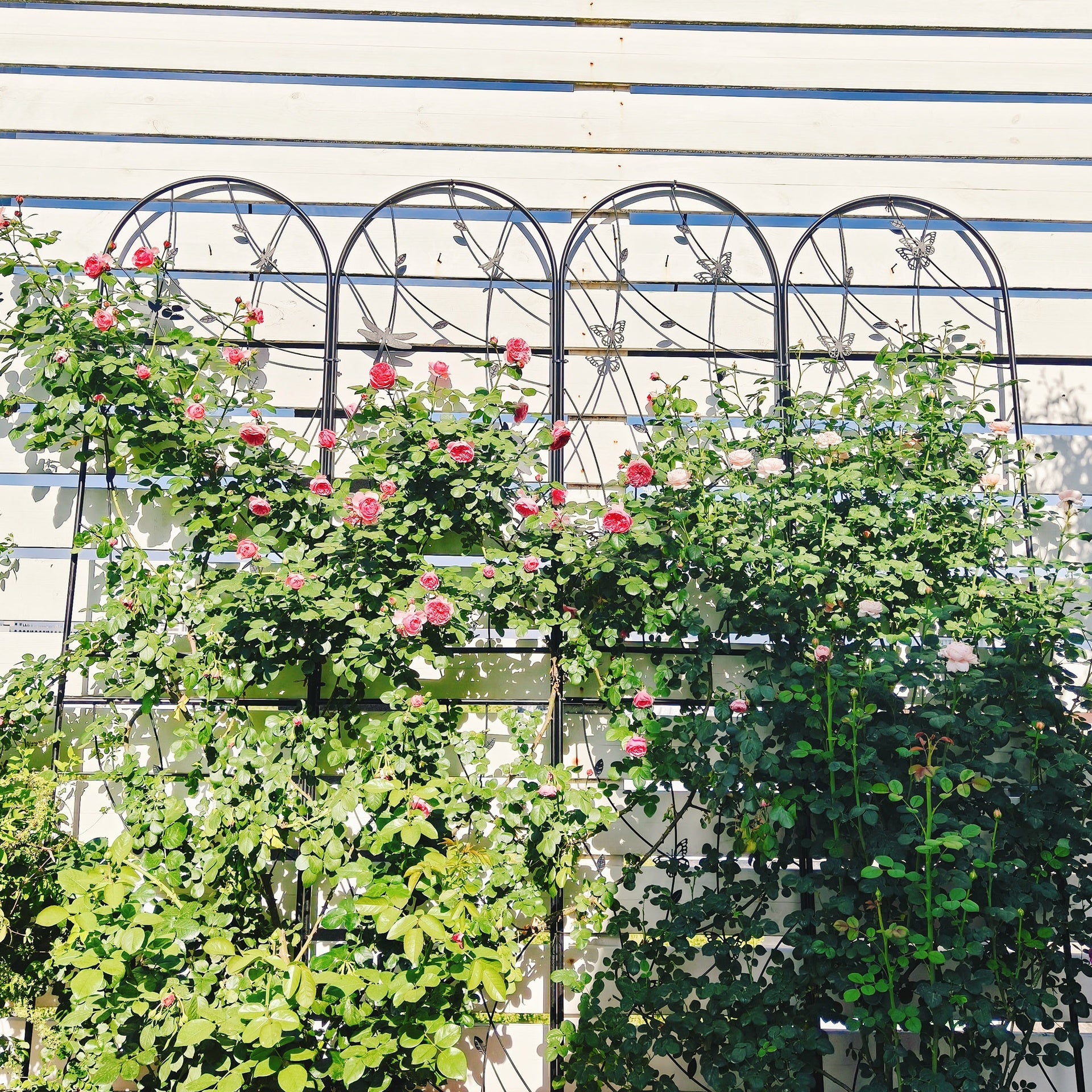 2 Pack Metal Garden Trellis 86.7" x 19.7" Rustproof Trellis for Climbing Plants Outdoor Flower Support Dragonfly Deco Black