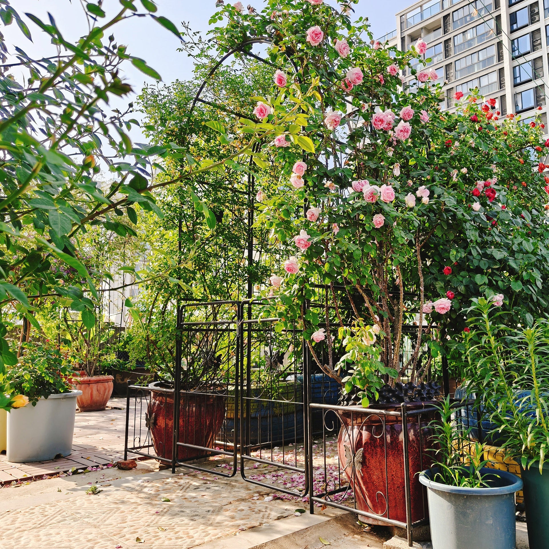 Metal Garden Arch with Gate 79.5'' Wide x 86.6'' High Climbing Plants Support Rose Arch Outdoor Black