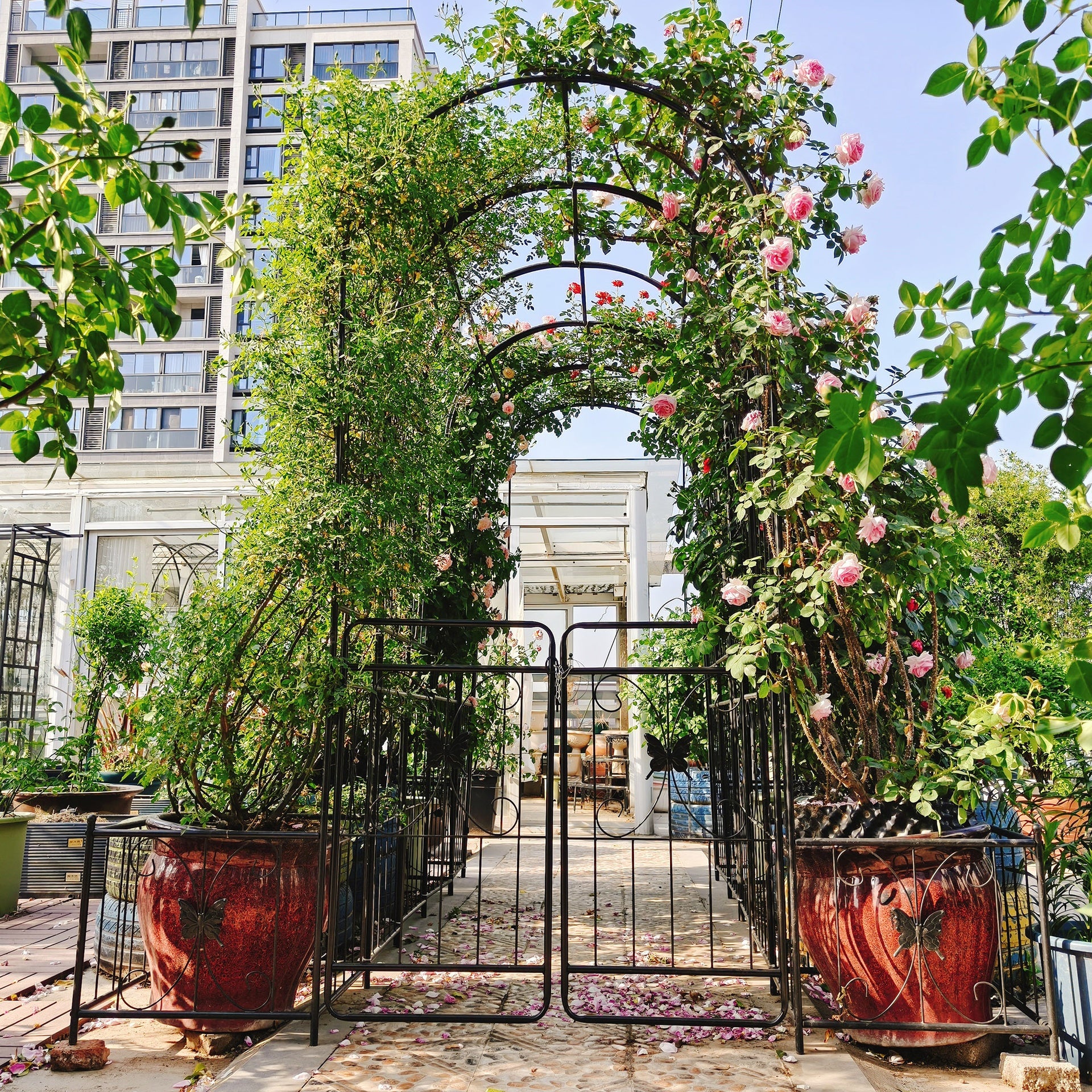 Metal Garden Arch with Gate 79.5'' Wide x 86.6'' High Climbing Plants Support Rose Arch Outdoor Black