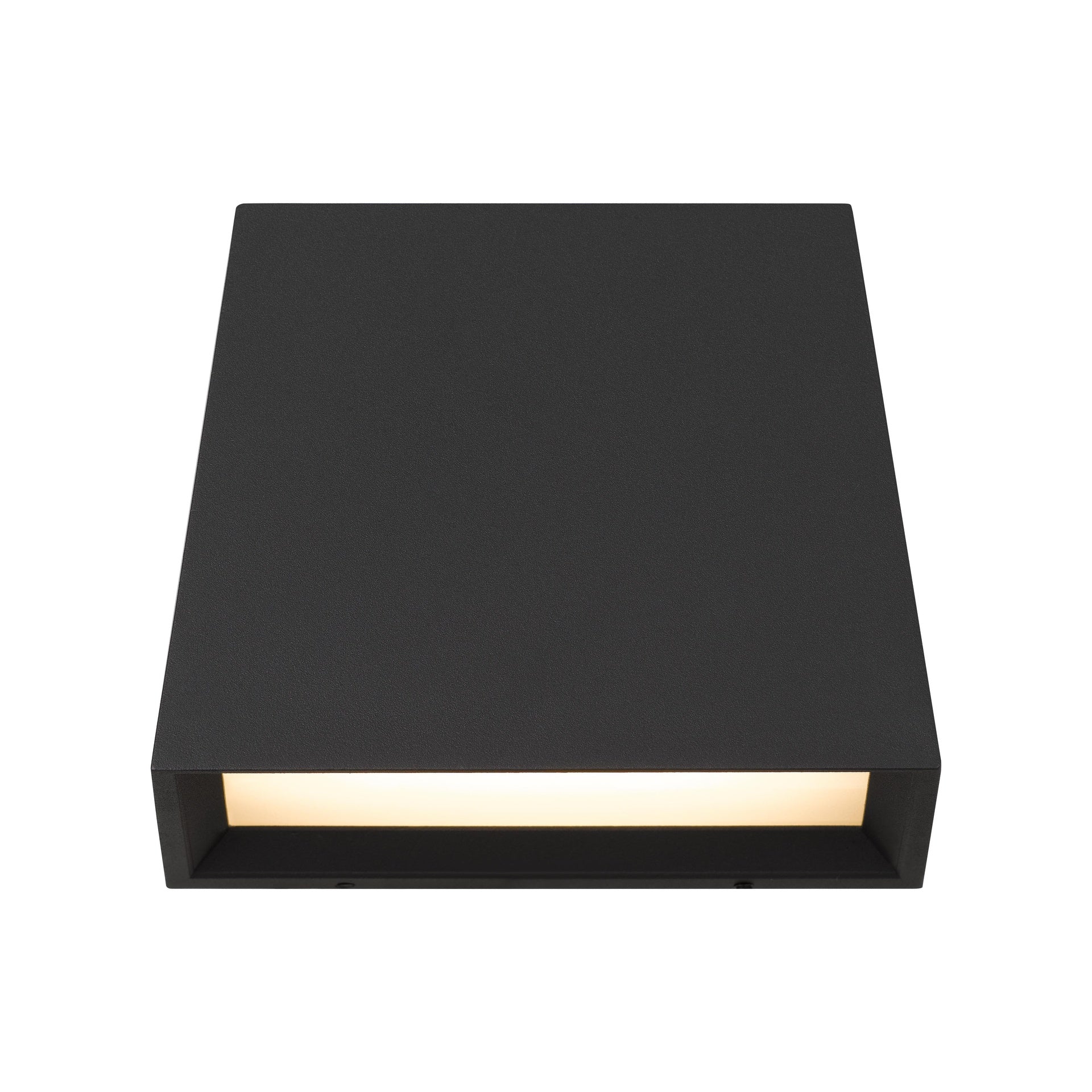 6 inch LED Wall Sconce