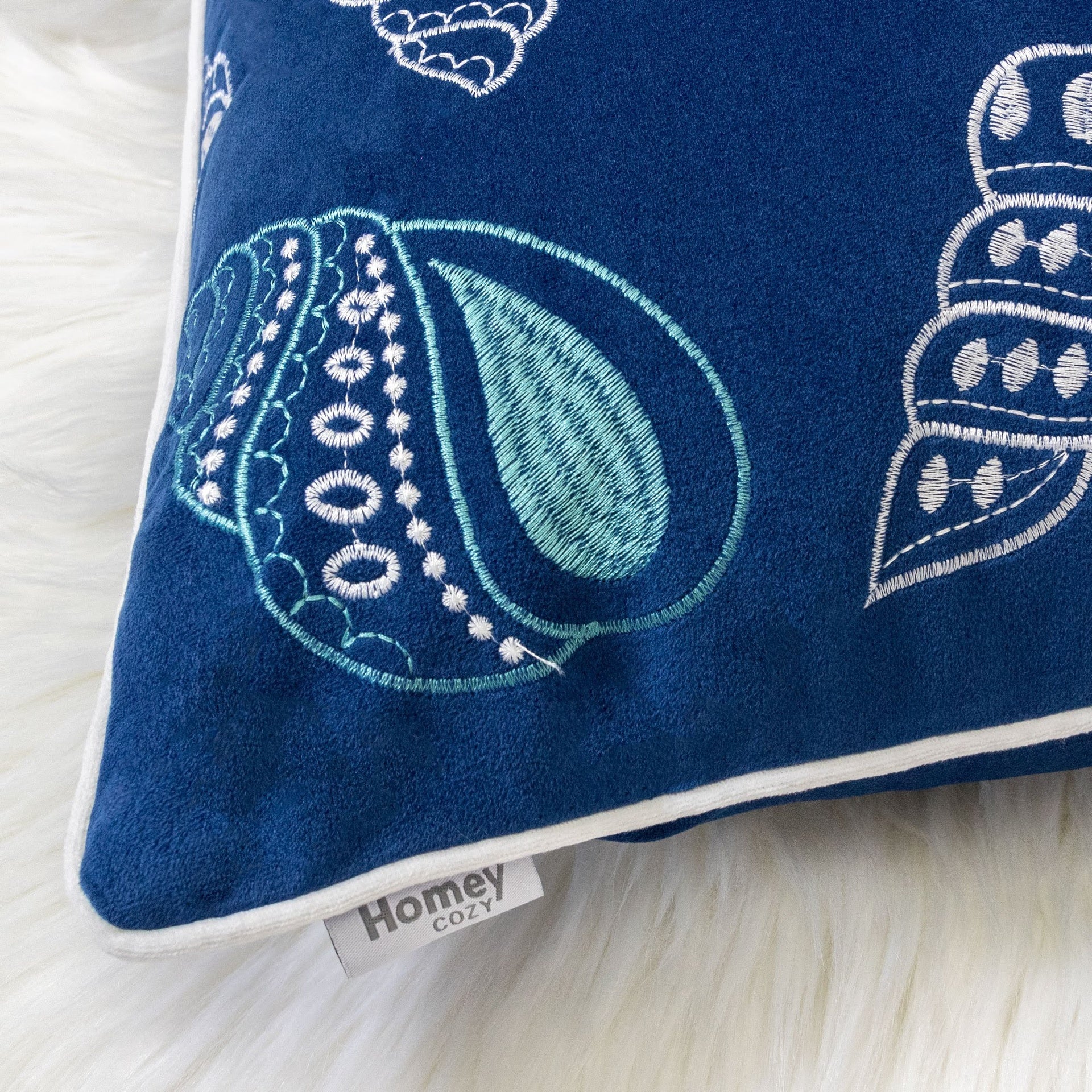 Blue and Spa Seashells