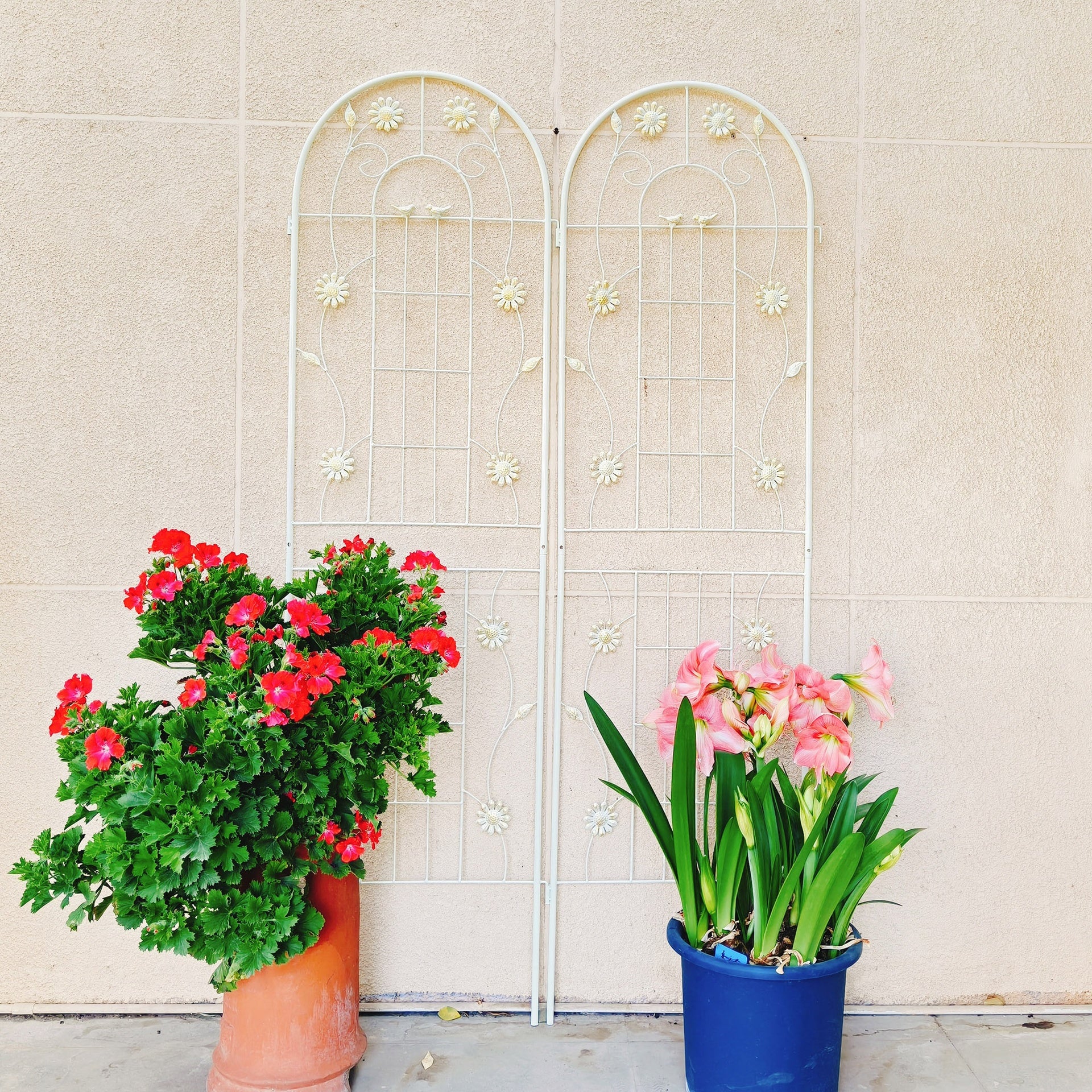 2 Pack Metal Garden Trellis 71" x 19.7" Rustproof Trellis for Climbing Plants Outdoor Flower Support Cream White