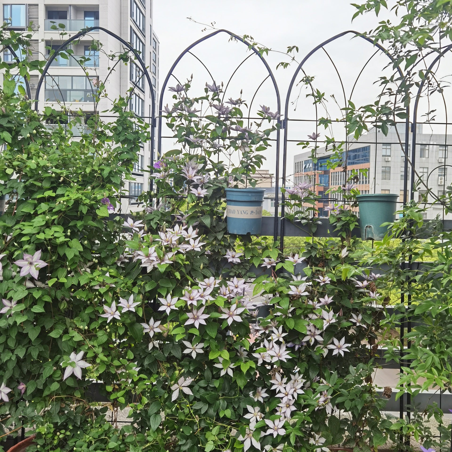4 Pack Metal Garden Trellis 78.7" x 19.7" Rustproof Trellis for Climbing Plants Outdoor Flower Support Black