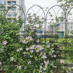 4 Pack Metal Garden Trellis 78.7" x 19.7" Rustproof Trellis for Climbing Plants Outdoor Flower Support Black