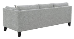 Gray Sofa