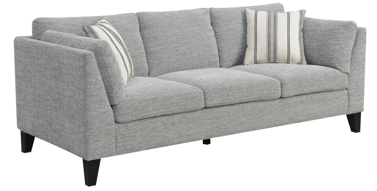 Gray Sofa