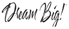 Dream Big Twin Pack Bed Pillows