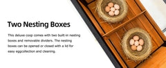 Outdoor Wooden Chicken Coop with Run, 7 Doors, Pull-Out Tray, Nesting Box & Ramp – Backyard Poultry House for 2 – 4 Chickens, Expandable Design