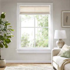 1PC 39x64" Cordless Roman Blind  Galen Matte fabric
