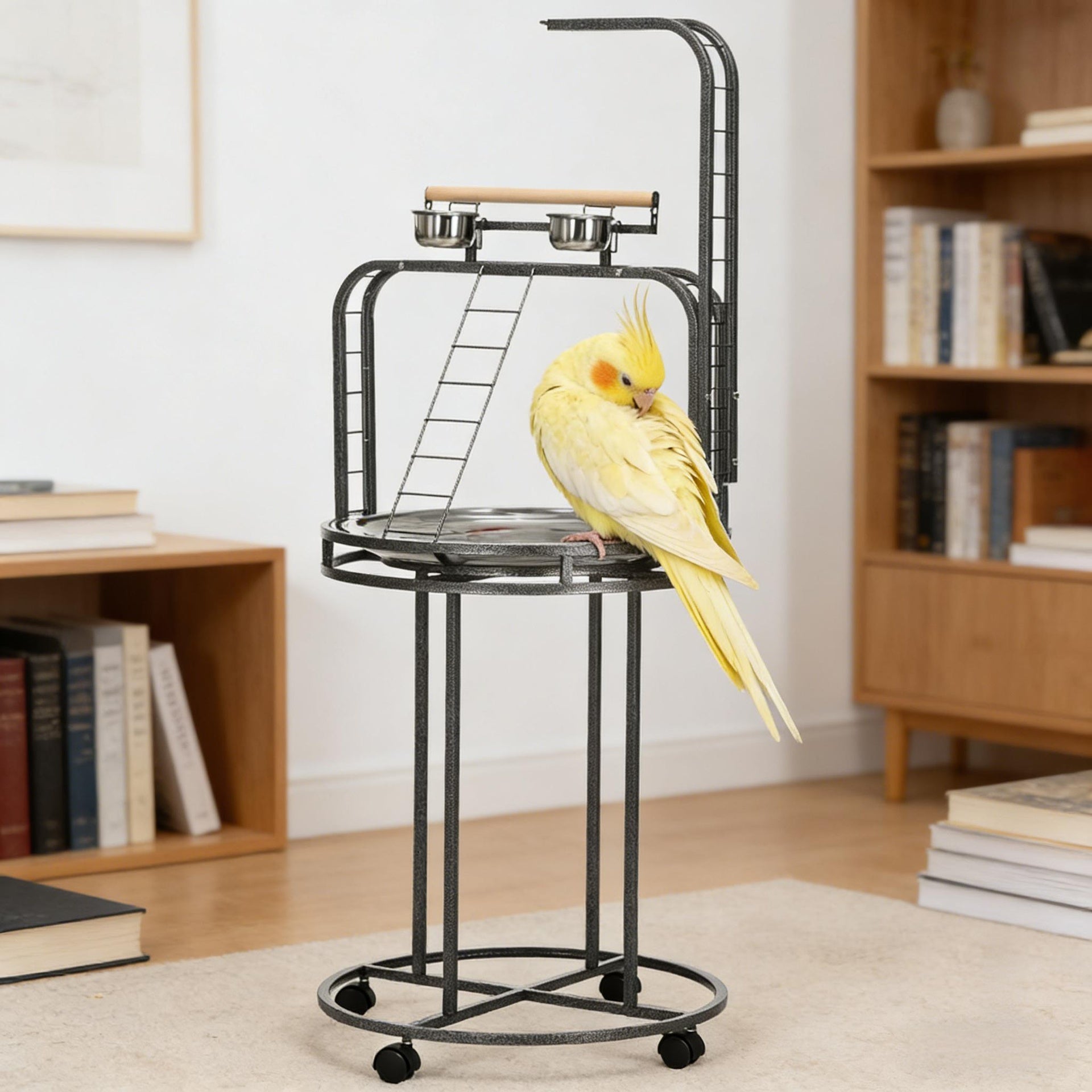 Bird Wooden Stand,Parrot Stand Large Bird Perch Stand