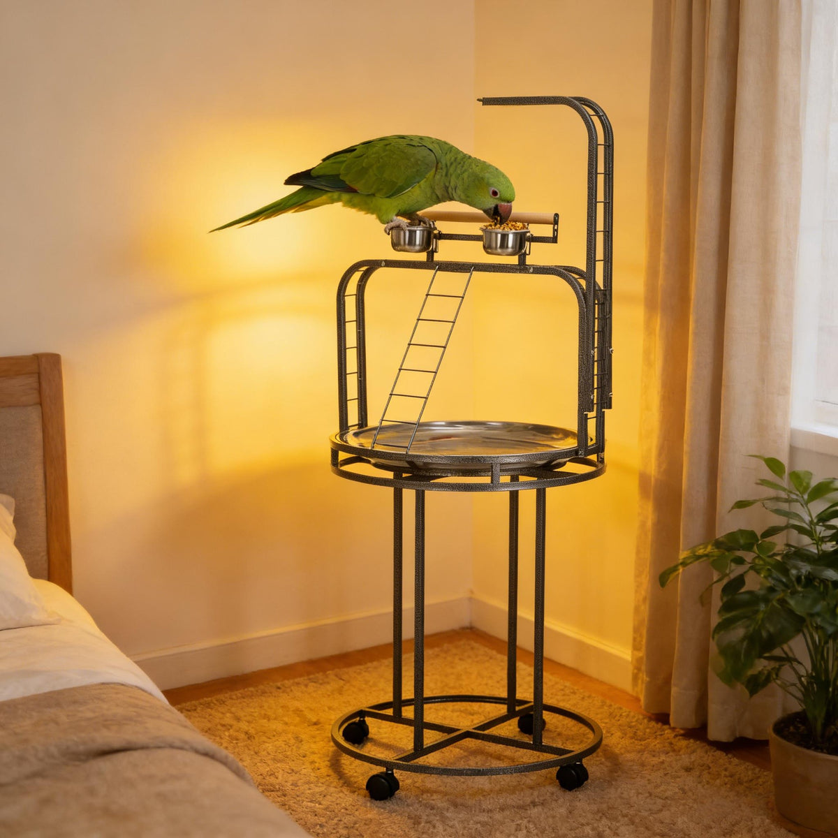 Bird Wooden Stand,Parrot Stand Large Bird Perch Stand