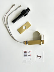 Single Handle Bathroom Faucet Lavatory Faucet Stainless Steel Single Hole-TP, Brushed Gold