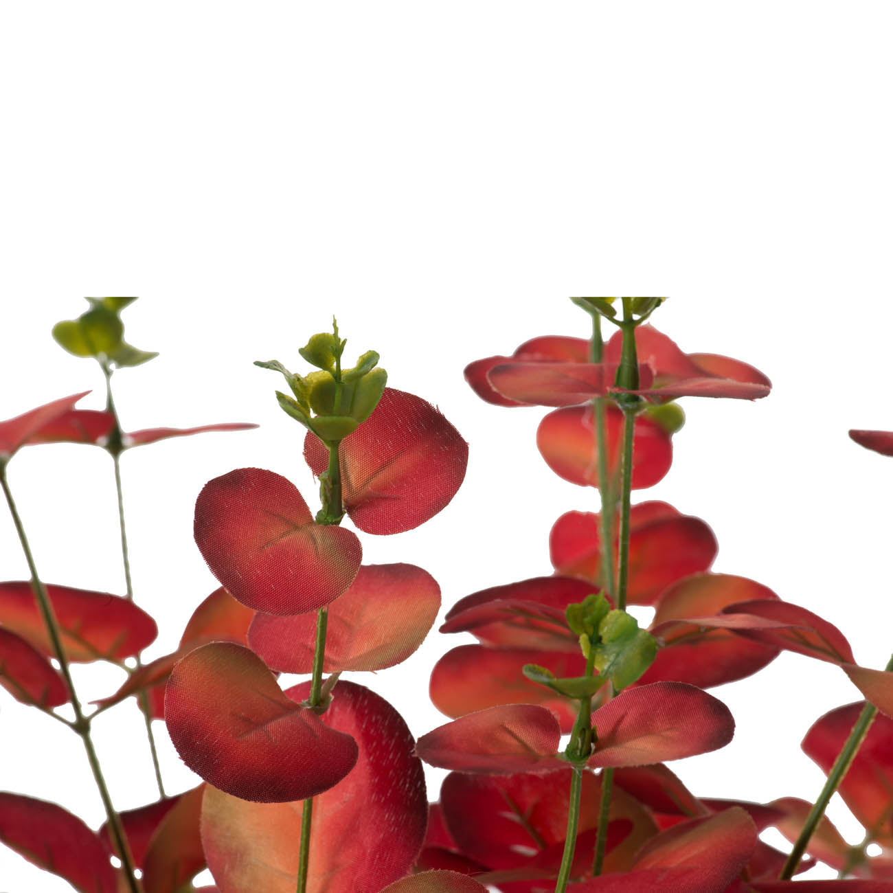 Set of 6, 10x10x20"H Eucalyptus X4 Bundles