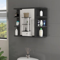 Roseburg 6-Shelf Medicine Cabinet with Mirorr Wenge