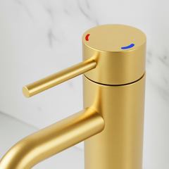 Single Handle Bathroom Faucet Lavatory Faucet Stainless Steel Single Hole-T10, Brushed Gold