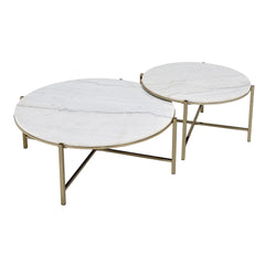 Zaidee Marble Top & Nickel Finish Nesting Table Set