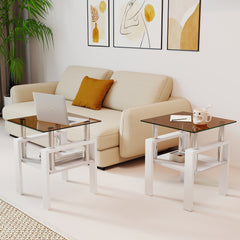 Set of 2 Modern Tempered Glass Tea Table ,Tempered Glass Tabletop with MDF Layer,Coffee Table,End Table, Square Table for Living Room, Brown/white