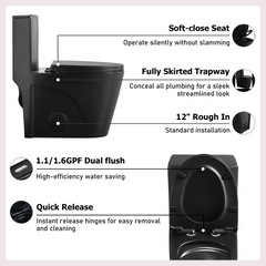 1.1/1.60 GPF Dual-Flush One Piece Toilet, Water-Saving Elongated Comfort Height Floor Mounted, Soft Close Seat, 1000 Gram Map Flushing Score Toilet, Matte Black GF-24T01-MB