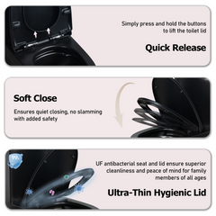 1.1/1.60 GPF Dual-Flush One Piece Toilet, Water-Saving Elongated Comfort Height Floor Mounted, Soft Close Seat, 1000 Gram Map Flushing Score Toilet, Matte Black GF-24T01-MB