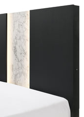 Contemporary Queen Panel LED Light Headboard Bed 1pc Black White Finish Wooden Bedroom Furniture