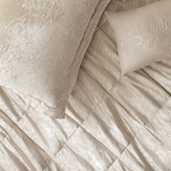 4 PCS King/Cal King Velvet Duvet Cover Set with Throw Pillow Champagne