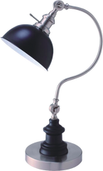 22"H SATIN NICKLE GOOD NECK TABLE LAMP