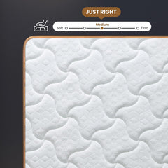 10" Full Plush Hybrid Mattresses with Independently Encased Coils & Gel Memory Foam, Fiberglass-Free, Motion Isolation-Edge Support, Mattress in a Box, CertiPUR-US Certified