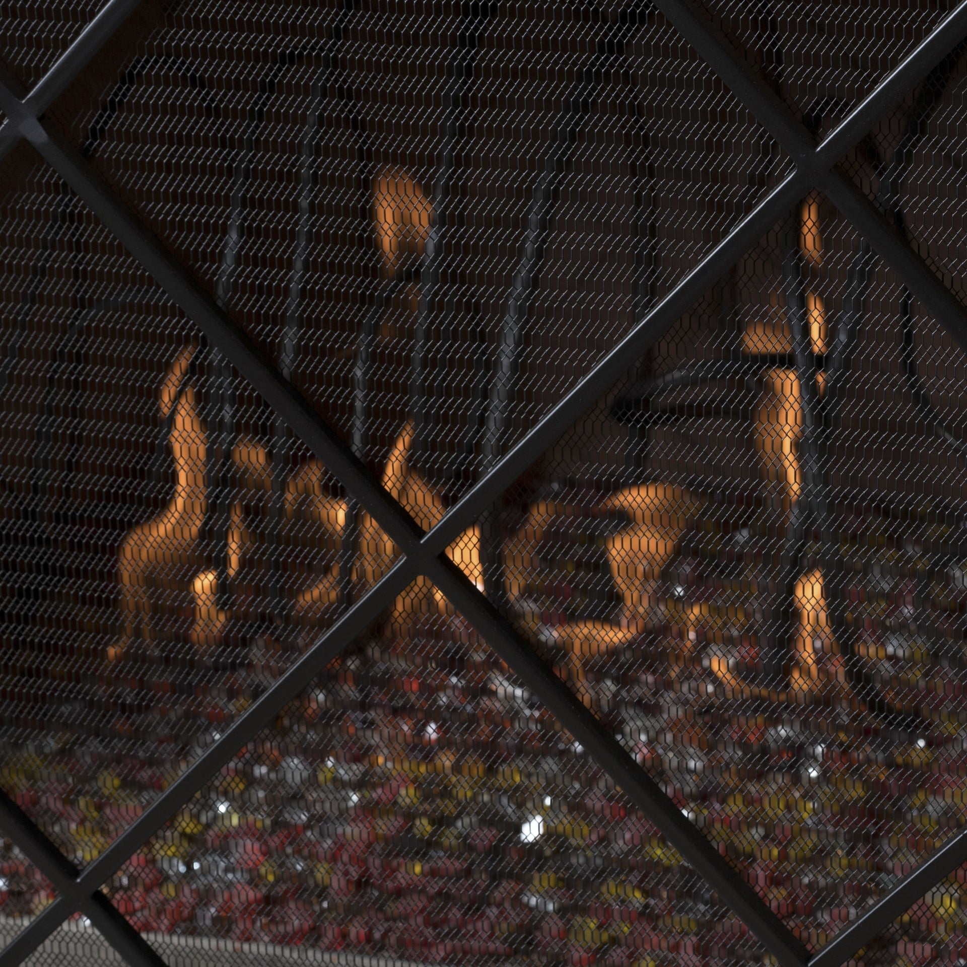 FIRE SCREENS