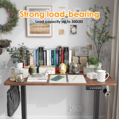 STARY Electric Standing Desk Adjustable Height Sit Stand Home Office Desk with Splice Board