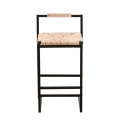 Set of 2 Water Hyacinth Woven Bar Stools with Back Support Counter Height Dining Chairs for Kitchen, Home, Office (Water Hyacinth with Back)