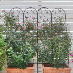 4 Pack Metal Garden Trellis 86.7" x 19.7" Rustproof Trellis for Climbing Plants Outdoor Flower Support Dragonfly Deco Black