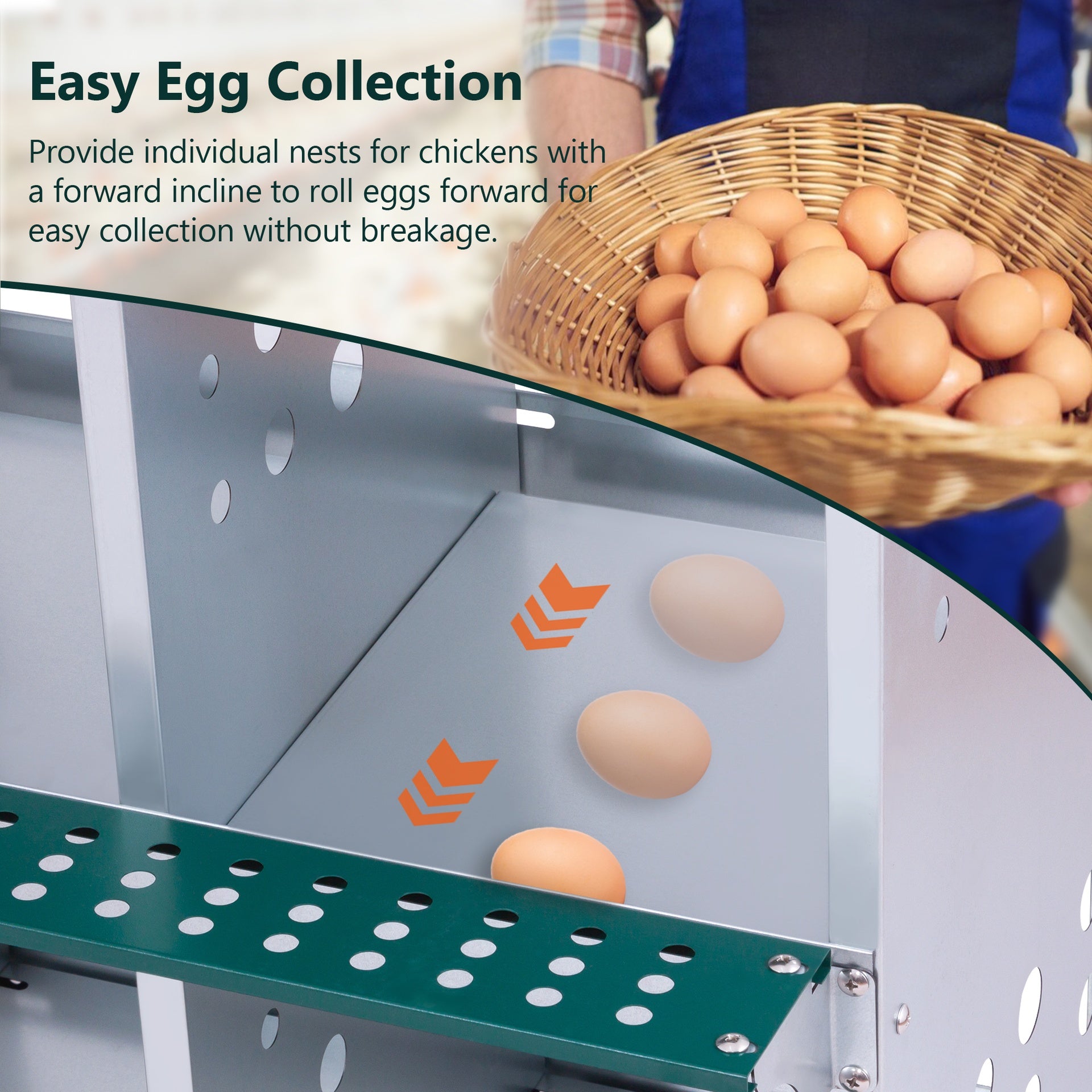 10-Bay Metal Nest Box-Wall Mount for Hens/Ducks, Easy Egg Collection & Assembly, Vented Galvanized Steel Coop Equipment Grenn