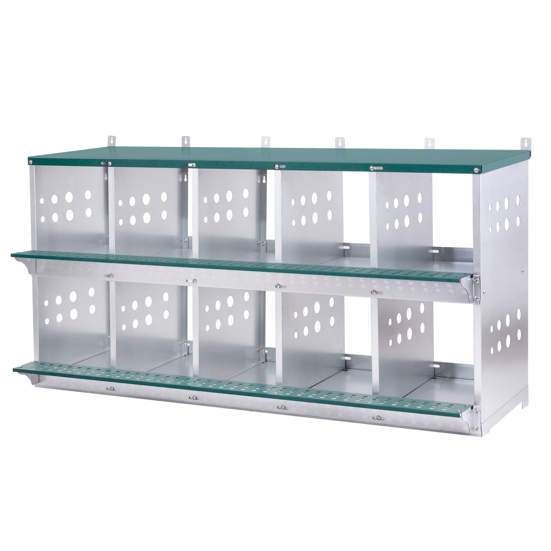 10-Bay Metal Nest Box-Wall Mount for Hens/Ducks, Easy Egg Collection & Assembly, Vented Galvanized Steel Coop Equipment Grenn