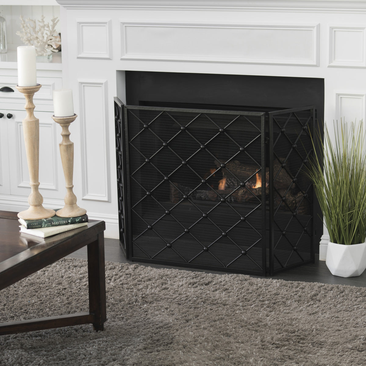 FIRE SCREENS