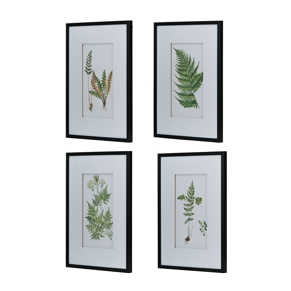 Set of 4 Botanical Black And White Fern Wall Art , Wall Decor for Living Room Dining Room  Entryway, 20" x 28"