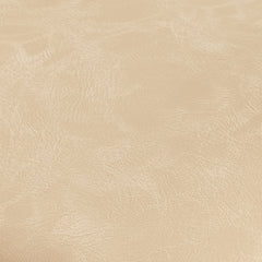 Nessi Modern Faux Leather Arm Chair - Sand