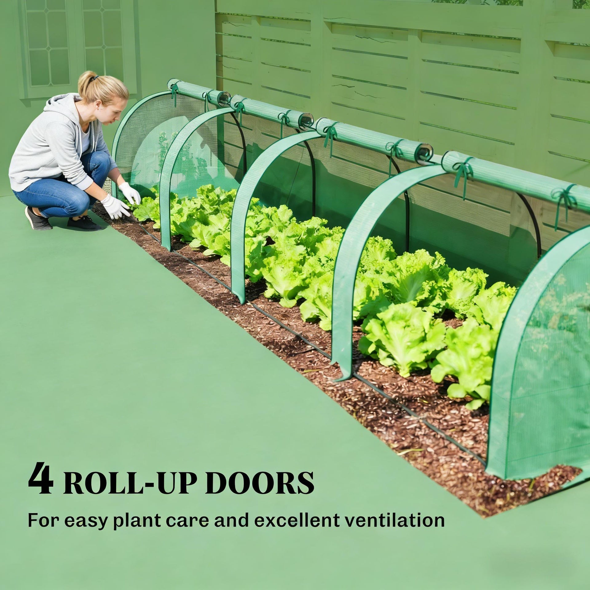 Low Design Mini Greenhouse,Spacious Greenhouse