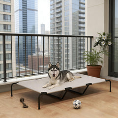 Large Pet Bed,Elevated Dog Bed