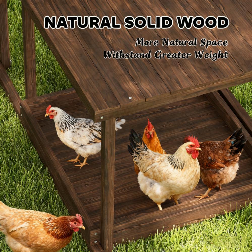 Pet  Activity Play Set,Wooden Chicken Activity Play Set withSwing,Ladder,Platforms,Feeder Storage