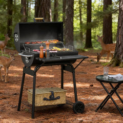 30" Portable Charcoal Barbecue Grill with Wheels
