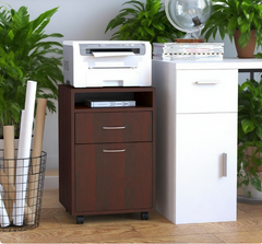 Mobile Storage Cabinet Organizer