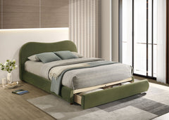 Olive Green Velvet Upholstered 1pc Queen Size Bed Curved Design Headboard Storage FB Bedroom Furniture Bedframe