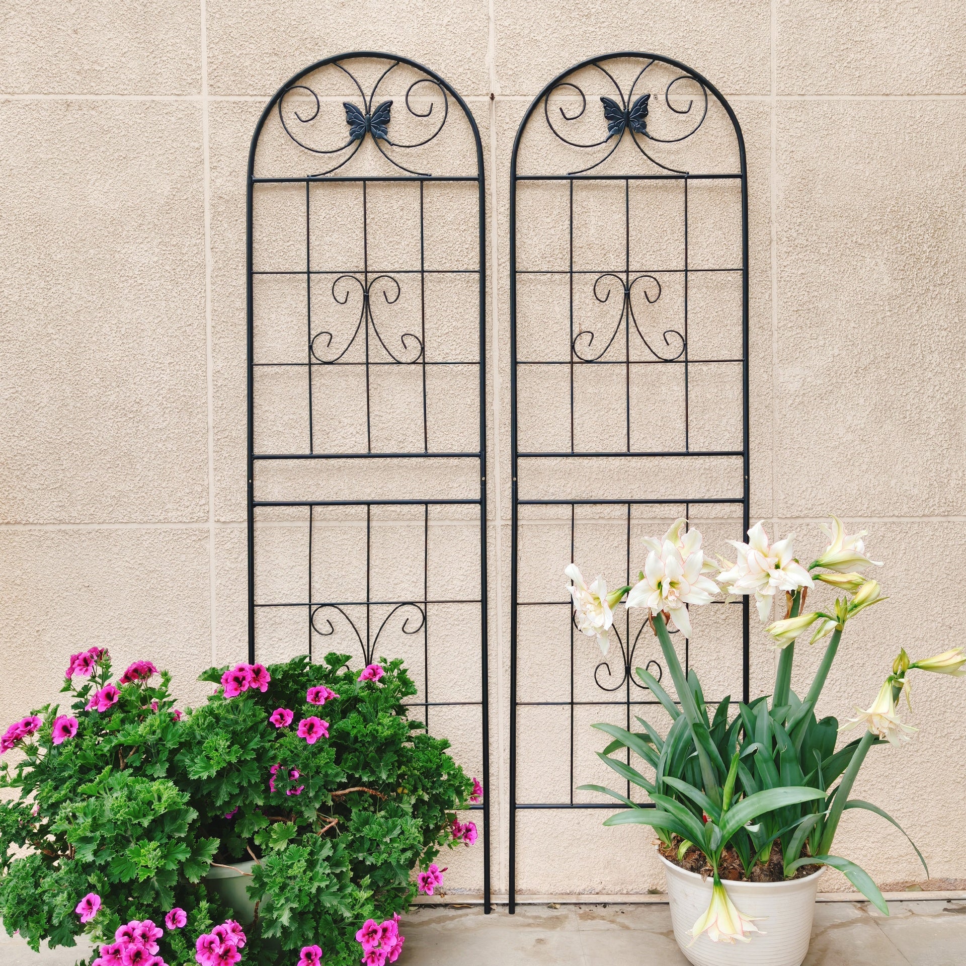 4 Pack Metal Garden Trellis 71" x 19.7" Rustproof Trellis for Climbing Plants Outdoor Flower Support Black