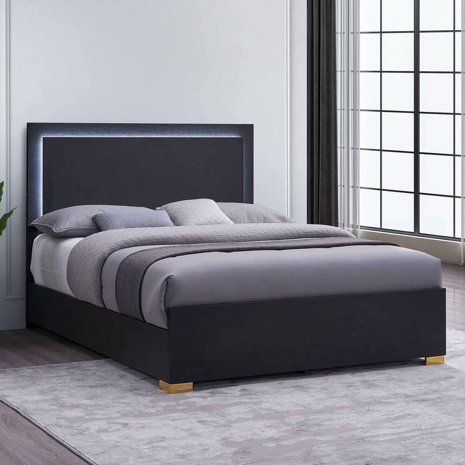 Jeremiah Black Wood Queen LED Panel Bed