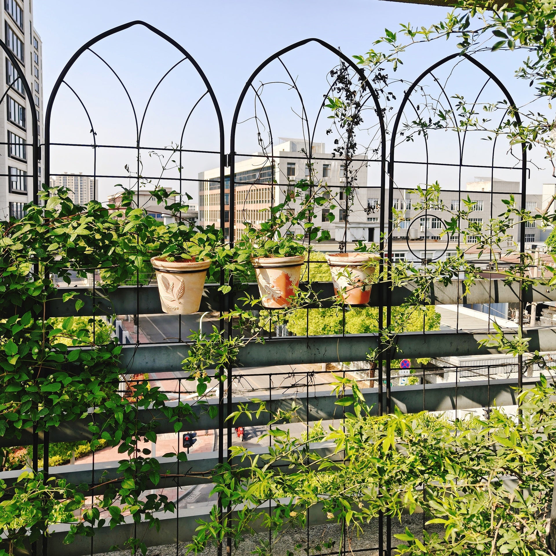 2 Pack Metal Garden Trellis 78.7" x 19.7" Rustproof Trellis for Climbing Plants Outdoor Flower Support Black