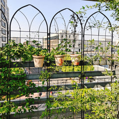 2 Pack Metal Garden Trellis 78.7" x 19.7" Rustproof Trellis for Climbing Plants Outdoor Flower Support Black
