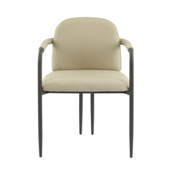 Dinning Chair with iron frame-Set of 2-Espresso+Khaki